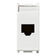 Vimar Plana Presa Rete Connettore RJ45 Categoria 6 UTP 14339.6
