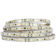 Striscia LED 12 Watt Metro 60 LED Metro 24 Volt IP65 Ledco