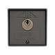 Vds 198/2 Selettore da Parete con Chiave in Alluminio Alta Sicurezza Grigio